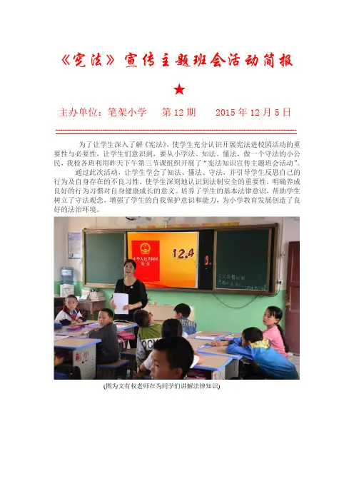 宪法宣传查简报