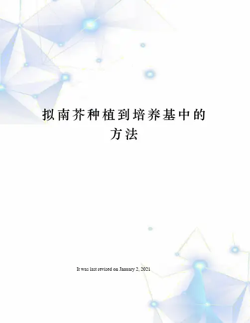 拟南芥种植到培养基中的方法