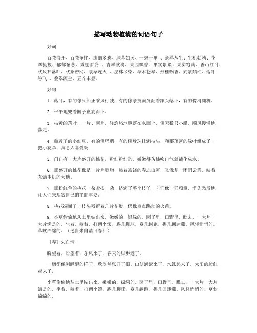 描写动物植物的词语句子