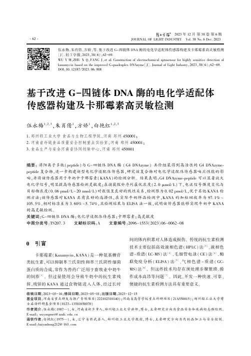 基于改进G-四链体DNA_酶的电化学适配体传感器构建及卡那霉素高灵敏检测