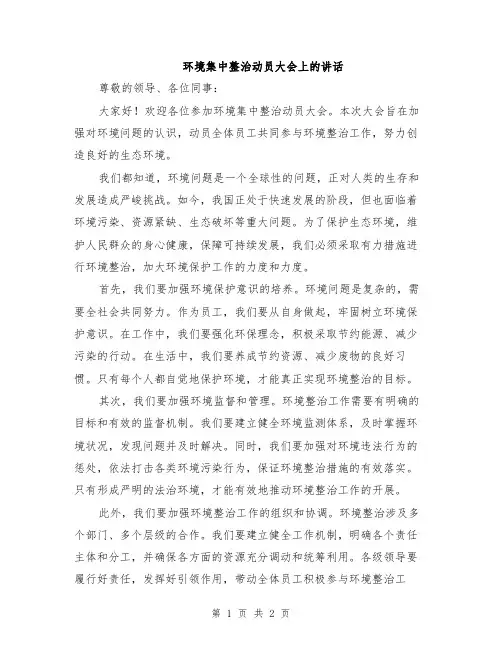 环境集中整治动员大会上的讲话