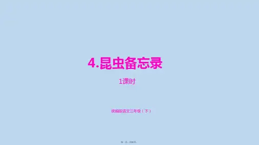 三年级下册《昆虫备忘录》部编版