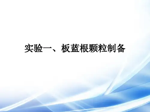 板蓝根颗粒制备