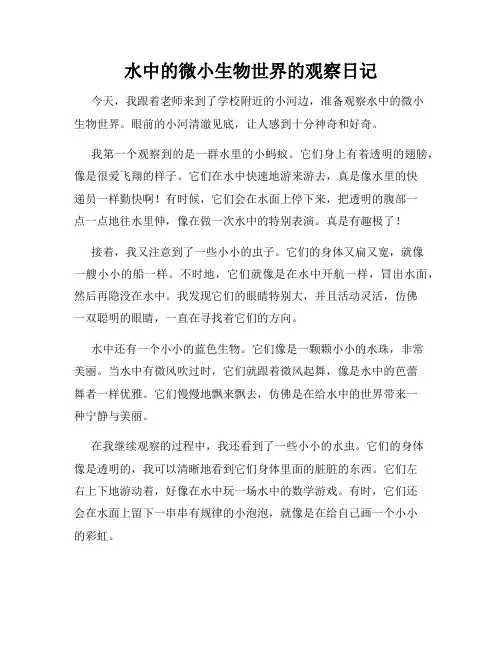 小学三年级作文水中的微小生物世界的观察日记