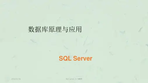 SQL server 入门教程PPT