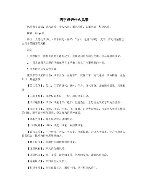 四字成语什么风采