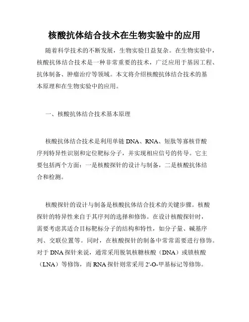 核酸抗体结合技术在生物实验中的应用