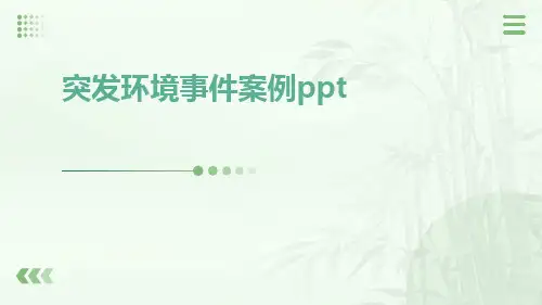 突发环境事件案例ppt