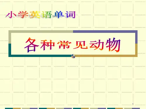小学英语分类单词(动物类)PPT课件