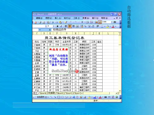 电子表格Excel 2003的使用技巧(ppt 33页)