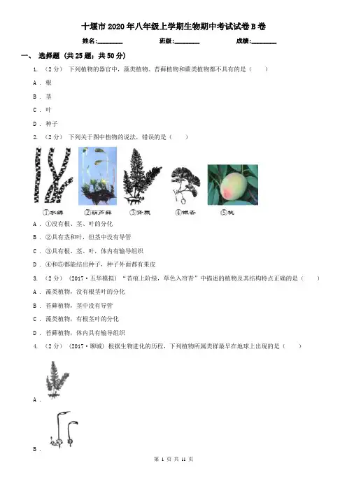 十堰市2020年八年级上学期生物期中考试试卷B卷
