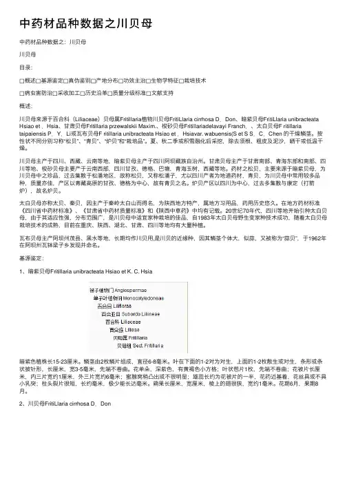 中药材品种数据之川贝母