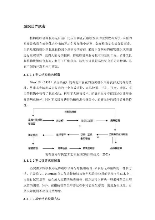 组织培养脱毒