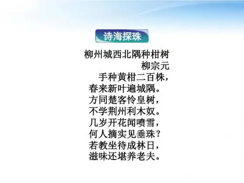 柳州城西北隅种柑树【唐】柳宗元