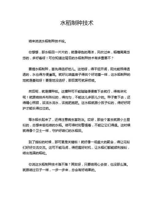 水稻制种技术
