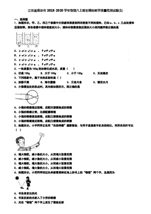 江苏省南京市2019-2020学年物理八上期末模拟教学质量检测试题(1)