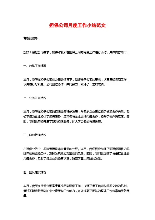 担保公司月度工作小结范文