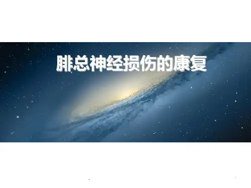 腓总神经损伤的康复ppt演示课件