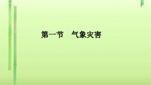 新人教版高一地理必修一6.1气象灾害课件(共14张PPT)