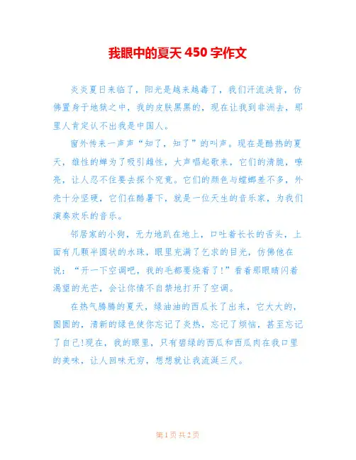 我眼中的夏天450字作文