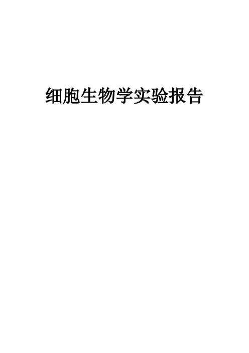 细胞生物学实验报告
