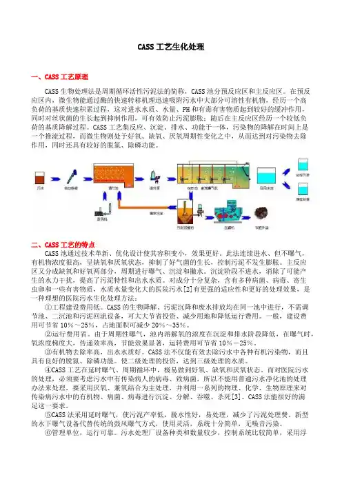 CASS工艺生化处理