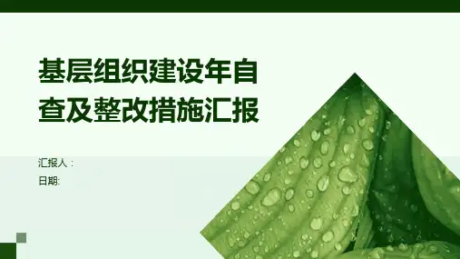 基层组织建设年自查及整改措施汇报