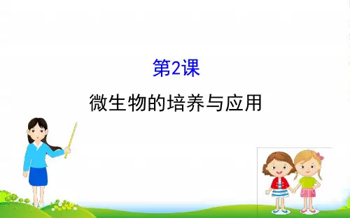 届高三生物人教一轮复习课件：选修1.2微生物的培养与应用