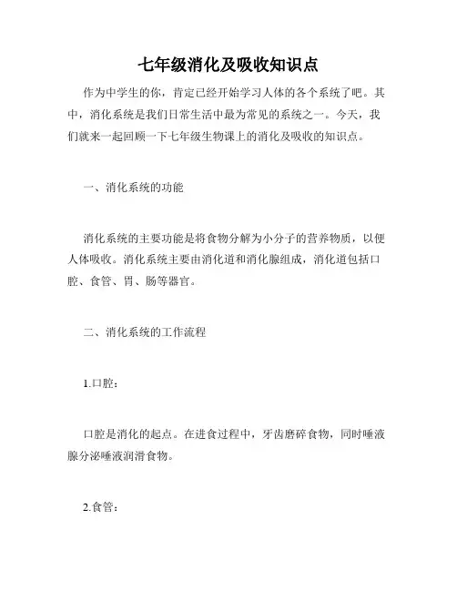 七年级消化及吸收知识点