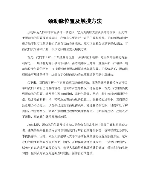 颈动脉位置及触摸方法