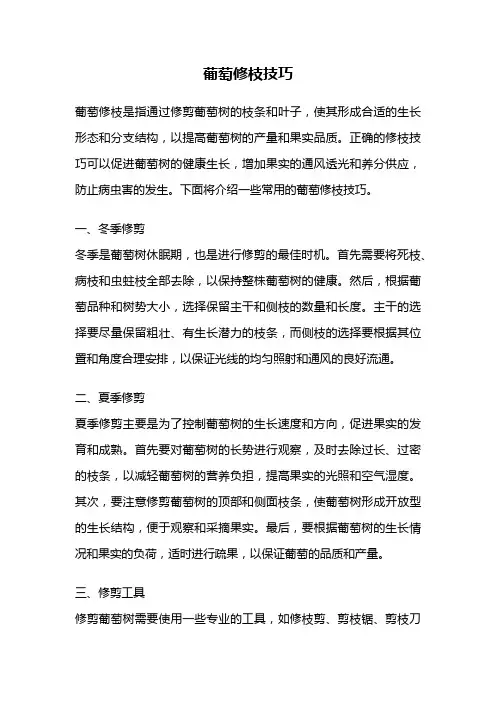 葡萄修枝技巧