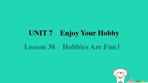 2024八年级英语上册Unit7Lesson38HobbiesAreFun习题课件新版冀教版