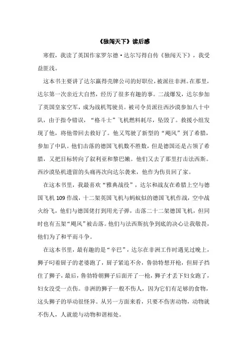 《独闯天下》读后感
