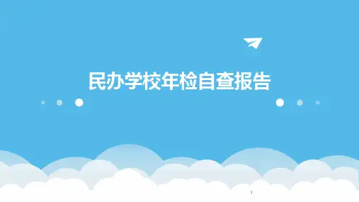 2024年度-民办学校年检自查报告