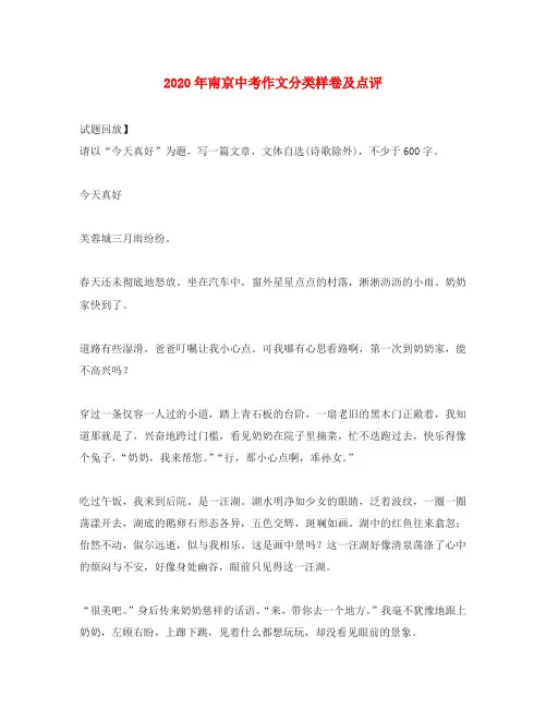 2020年江苏省南京九年级语文中考作文分类样卷及点评知识点分析
