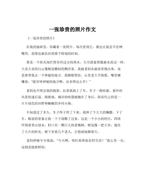 一张珍贵的照片作文