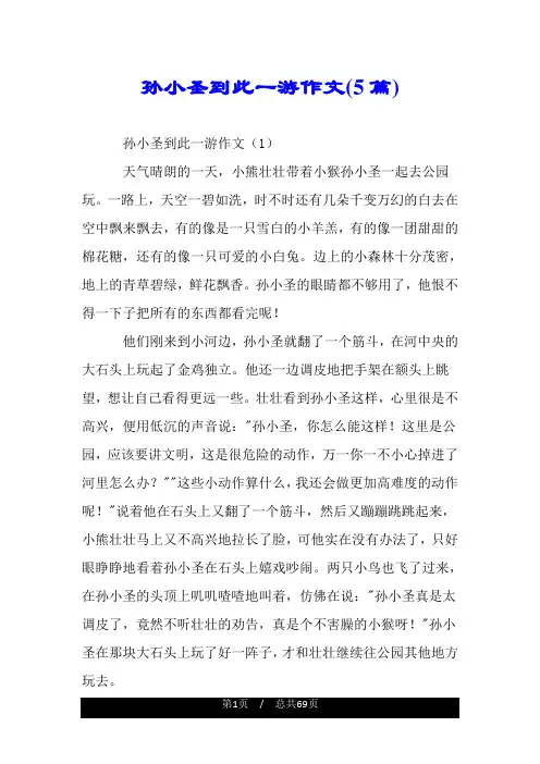 孙小圣到此一游作文(5篇).doc