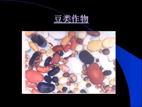 大豆栽培课件