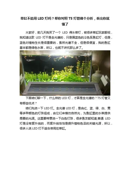 草缸不能用LED灯吗？帮你对照T5灯管做个分析，看完你就懂了
