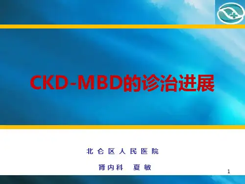 继发性甲旁亢新PPT课件