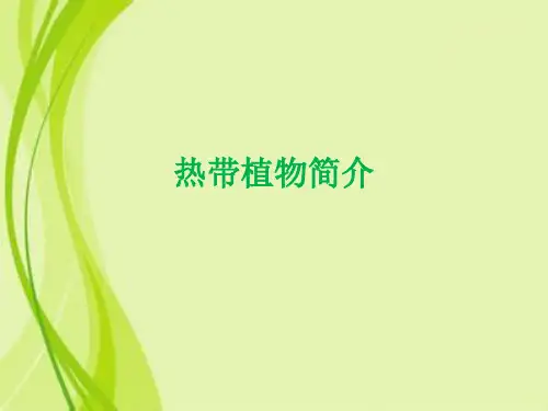 热带植物简介