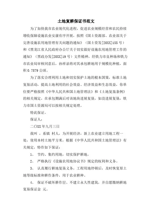 土地复耕保证书范文