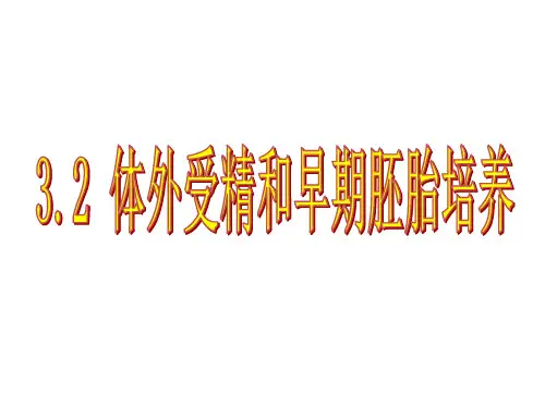 高中生物人教版 选修3 专题3 胚胎工程 3.2 体外受精和早期胚胎培养 课件(共21张ppt)
