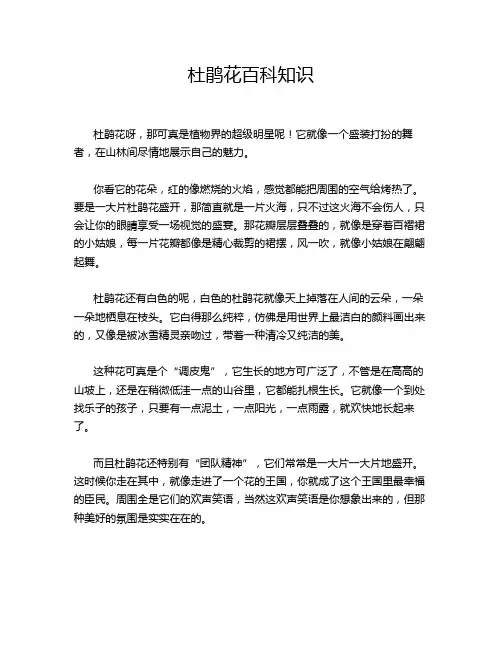 杜鹃花百科知识