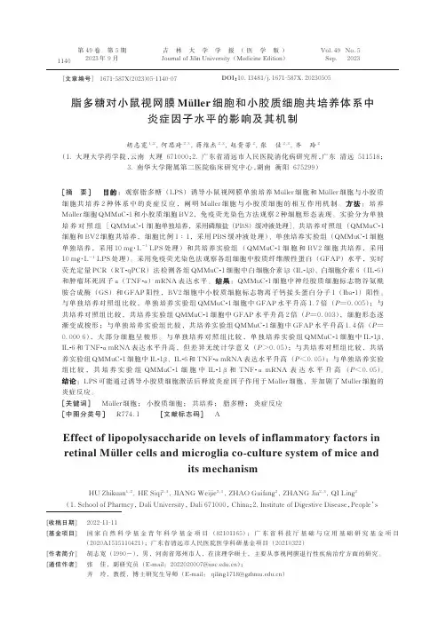 脂多糖对小鼠视网膜Müller_细胞和小胶质细胞共培养体系中炎症因子水平的影响及其机制