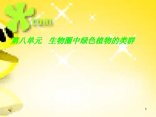 初中生物光合作用和呼吸作用复习ppt课件