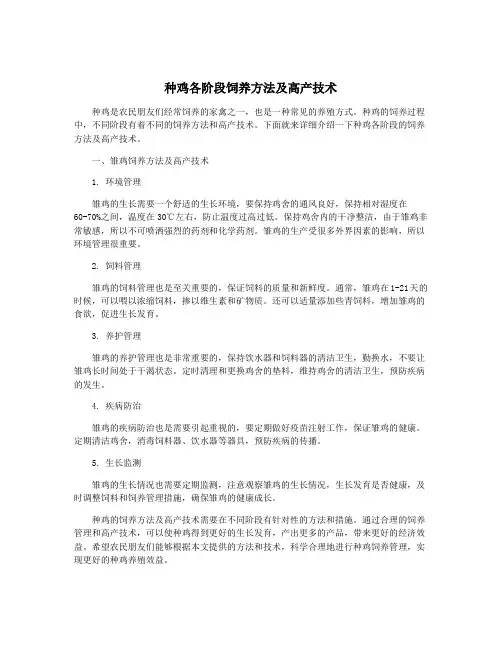 种鸡各阶段饲养方法及高产技术