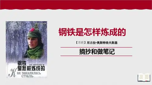 八年级语文部编版下册第六单元名著导读《钢铁是怎样炼成的》课件(共16张PPT)