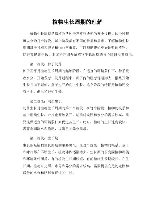 植物生长周期的理解