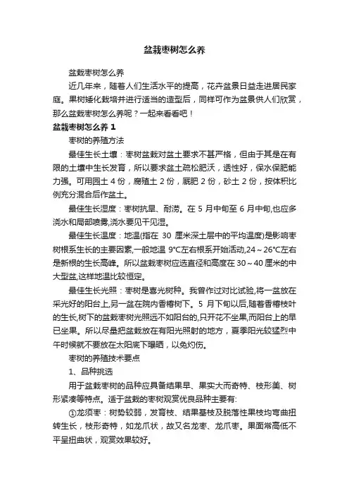 盆栽枣树怎么养